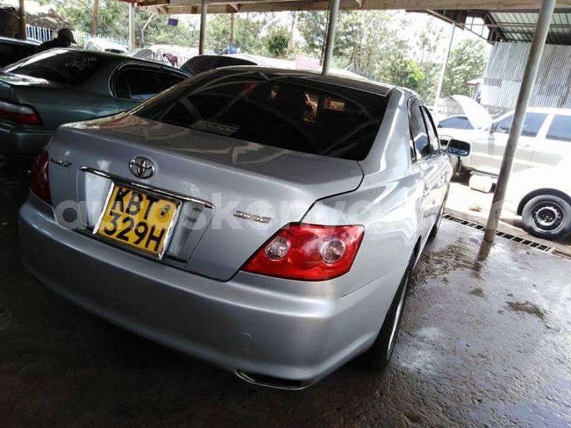 Big with watermark 46482290 258812334991971 4737524093434200064 n