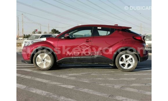 Buy Import Toyota C-HR Red Car in Import - Dubai in Central Kenya Buy Import Toyota C-HR Red Car in Import - Dubai in Central Kenya