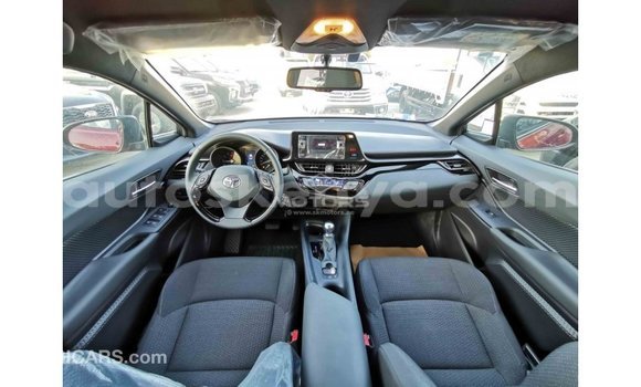 Buy Import Toyota C-HR Red Car in Import - Dubai in Central Kenya Buy Import Toyota C-HR Red Car in Import - Dubai in Central Kenya