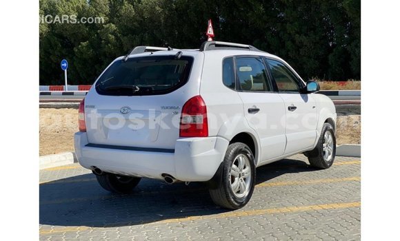 Nunua Imported Hyundai Tucson Nyeupe Gari ndani ya Import - Dubai nchini Kati Kenya Nunua Imported Hyundai Tucson Nyeupe Gari ndani ya Import - Dubai nchini Kati Kenya