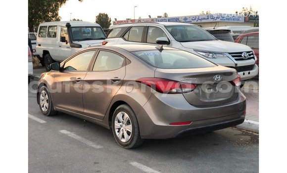 Buy Import Hyundai Elantra Brown Car in Import - Dubai in Central Kenya Buy Import Hyundai Elantra Brown Car in Import - Dubai in Central Kenya