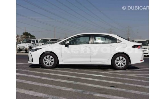 Buy Import Toyota Corolla White Car in Import - Dubai in Central Kenya Buy Import Toyota Corolla White Car in Import - Dubai in Central Kenya