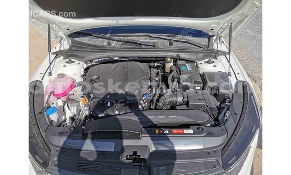 Buy Import Kia K5 White Car in Import - Dubai in Central Kenya Buy Import Kia K5 White Car in Import - Dubai in Central Kenya