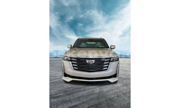 Imported Cadillac Escalade Other Makiinaa iti Import - Dubai keessatti Central Kenya keessatti
