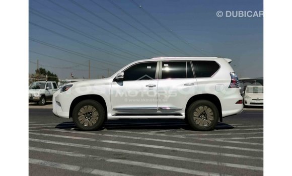 Buy Import Lexus GX White Car in Import - Dubai in Central Kenya Buy Import Lexus GX White Car in Import - Dubai in Central Kenya