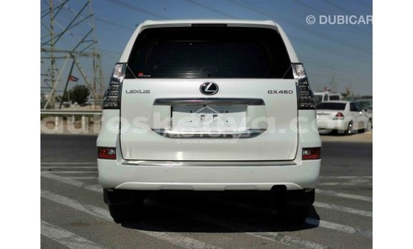 Buy Import Lexus GX White Car in Import - Dubai in Central Kenya Buy Import Lexus GX White Car in Import - Dubai in Central Kenya