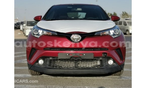 Buy Import Toyota C-HR Red Car in Import - Dubai in Central Kenya Buy Import Toyota C-HR Red Car in Import - Dubai in Central Kenya