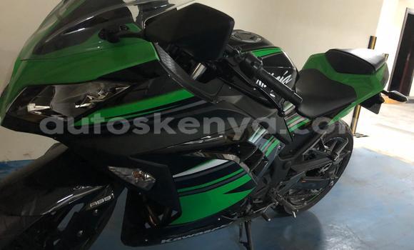 Oofamaa Kawasaki Ninja Green Doqdoqqee iti Nairobi keessatti Nairobi keessatti