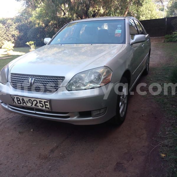 Big with watermark 47375803 1846609195451886 558426154562748416 n