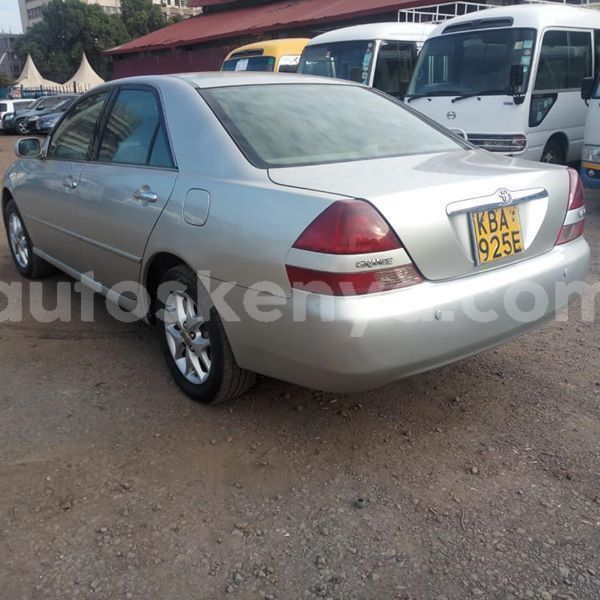 Big with watermark 47506478 1846609035451902 8979843684614799360 n