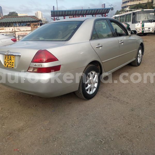 Big with watermark 47319312 1846609098785229 4319027608302911488 n