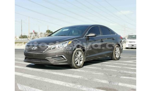Buy Import Hyundai Sonata Other Car in Import - Dubai in Central Kenya Buy Import Hyundai Sonata Other Car in Import - Dubai in Central Kenya