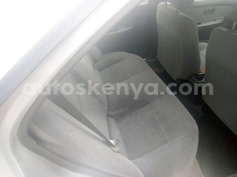 Big with watermark 48252779 507755766383902 4210741179144208384 o