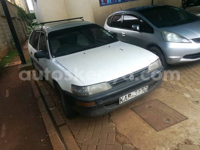 Big with watermark 48356417 507473803078765 6996093634571403264 o