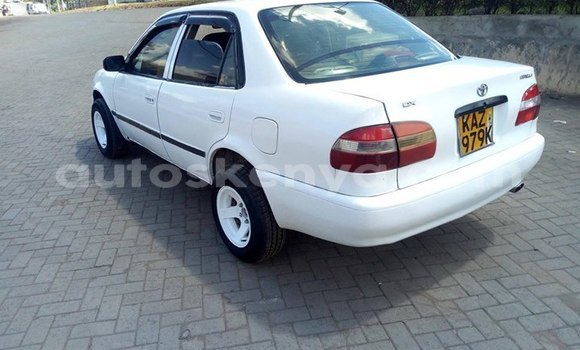 Nunua Ilio tumika Toyota Corolla Nyeupe Gari ndani ya Ongata Rongai nchini Nairobi Nunua Ilio tumika Toyota Corolla Nyeupe Gari ndani ya Ongata Rongai nchini Nairobi