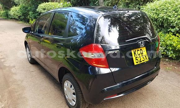 Oofamaa Honda Fit Black Makiinaa iti Nairobi keessatti Nairobi keessatti Oofamaa Honda Fit Black Makiinaa iti Nairobi keessatti Nairobi keessatti
