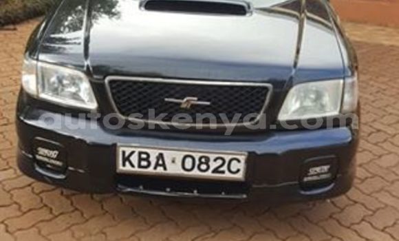 Oofamaa Subaru Forester Black Makiinaa iti Nairobi keessatti Nairobi keessatti Oofamaa Subaru Forester Black Makiinaa iti Nairobi keessatti Nairobi keessatti