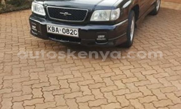 Oofamaa Subaru Forester Black Makiinaa iti Nairobi keessatti Nairobi keessatti Oofamaa Subaru Forester Black Makiinaa iti Nairobi keessatti Nairobi keessatti
