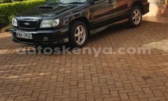 Oofamaa Subaru Forester Black Makiinaa iti Nairobi keessatti Nairobi keessatti Oofamaa Subaru Forester Black Makiinaa iti Nairobi keessatti Nairobi keessatti