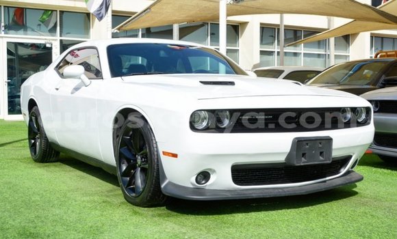Buy Import Dodge Challenger White Car in Import - Dubai in Central Kenya