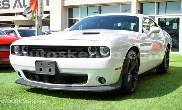 Buy Import Dodge Challenger White Car in Import - Dubai in Central Kenya Buy Import Dodge Challenger White Car in Import - Dubai in Central Kenya