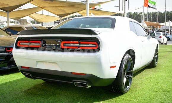 Buy Import Dodge Challenger White Car in Import - Dubai in Central Kenya Buy Import Dodge Challenger White Car in Import - Dubai in Central Kenya