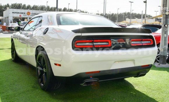 Buy Import Dodge Challenger White Car in Import - Dubai in Central Kenya Buy Import Dodge Challenger White Car in Import - Dubai in Central Kenya