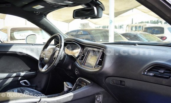 Buy Import Dodge Challenger White Car in Import - Dubai in Central Kenya Buy Import Dodge Challenger White Car in Import - Dubai in Central Kenya