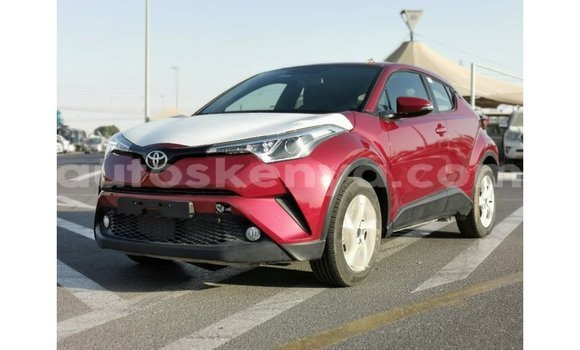 Imported Toyota C-HR Red Makiinaa iti Import - Dubai keessatti Central Kenya keessatti Imported Toyota C-HR Red Makiinaa iti Import - Dubai keessatti Central Kenya keessatti
