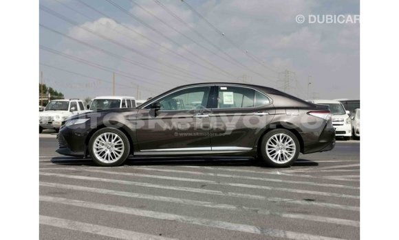 Buy Import Toyota Camry Brown Car in Import - Dubai in Central Kenya Buy Import Toyota Camry Brown Car in Import - Dubai in Central Kenya