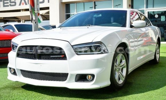 Nunua Imported Dodge Charger Nyeupe Gari ndani ya Import - Dubai nchini Kati Kenya Nunua Imported Dodge Charger Nyeupe Gari ndani ya Import - Dubai nchini Kati Kenya
