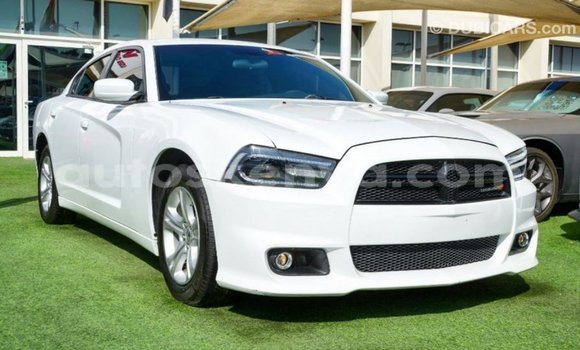 Nunua Imported Dodge Charger Nyeupe Gari ndani ya Import - Dubai nchini Kati Kenya Nunua Imported Dodge Charger Nyeupe Gari ndani ya Import - Dubai nchini Kati Kenya