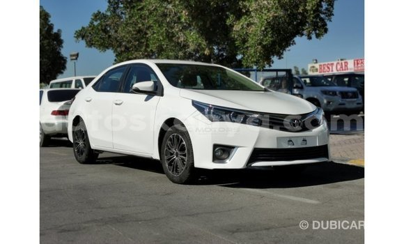 Buy Import Toyota Corolla White Car in Import - Dubai in Central Kenya Buy Import Toyota Corolla White Car in Import - Dubai in Central Kenya