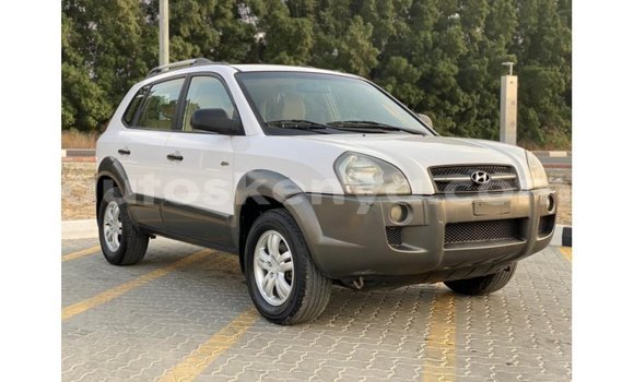 Imported Hyundai Tucson White Makiinaa iti Import - Dubai keessatti Central Kenya keessatti