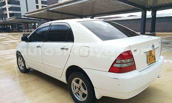 Nunua Ilio tumika Toyota Corolla Nyeupe Gari ndani ya Nairobi nchini Nairobi Nunua Ilio tumika Toyota Corolla Nyeupe Gari ndani ya Nairobi nchini Nairobi