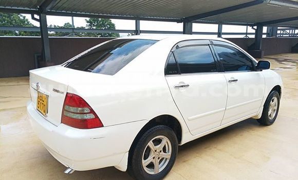 Nunua Ilio tumika Toyota Corolla Nyeupe Gari ndani ya Nairobi nchini Nairobi Nunua Ilio tumika Toyota Corolla Nyeupe Gari ndani ya Nairobi nchini Nairobi