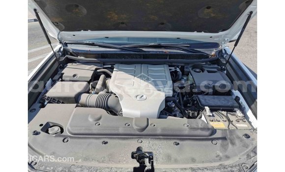 Nunua Imported Lexus GX Nyeupe Gari ndani ya Import - Dubai nchini Kati Kenya Nunua Imported Lexus GX Nyeupe Gari ndani ya Import - Dubai nchini Kati Kenya