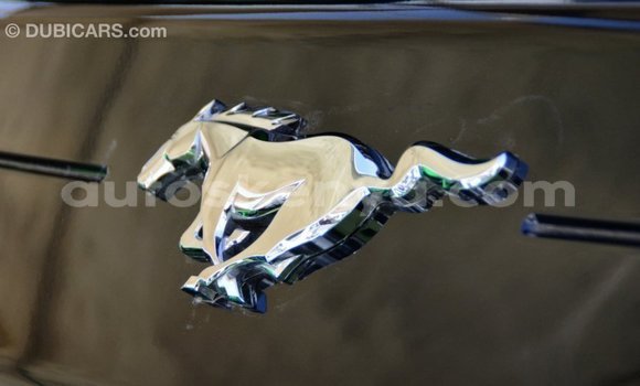 Buy Import Ford Mustang Other Car in Import - Dubai in Central Kenya Buy Import Ford Mustang Other Car in Import - Dubai in Central Kenya