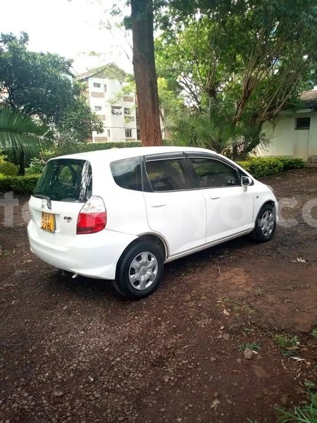 Big with watermark 49577025 215433159398525 3128904561561960448 n