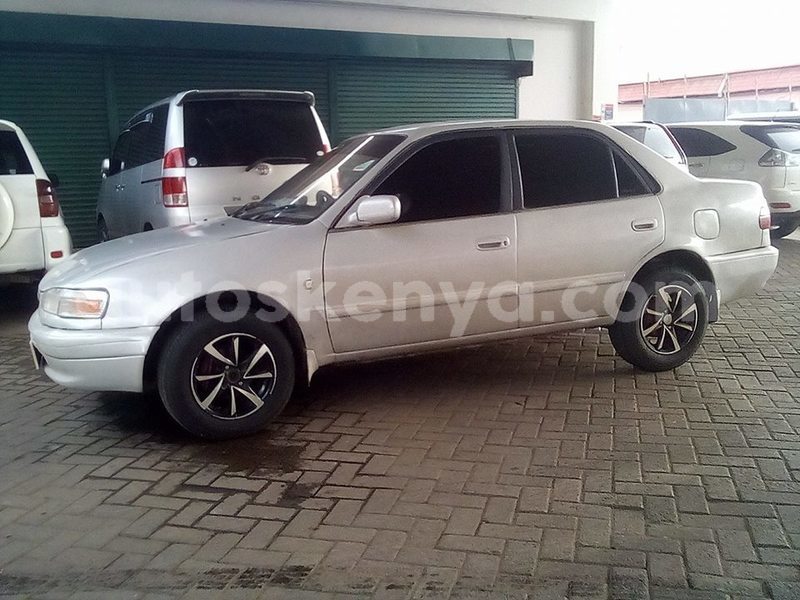 Big with watermark 49586413 1952948461471228 6011139857005412352 n