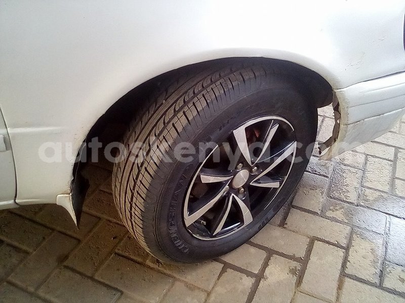 Big with watermark 49371699 1952948358137905 8985140495982264320 n