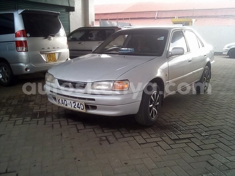 Big with watermark 49329074 1952947578137983 3519839618784559104 n