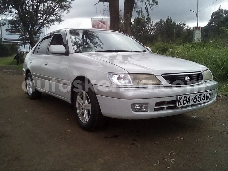 Big with watermark 49325801 1952570971508977 1530755150640054272 n 1 