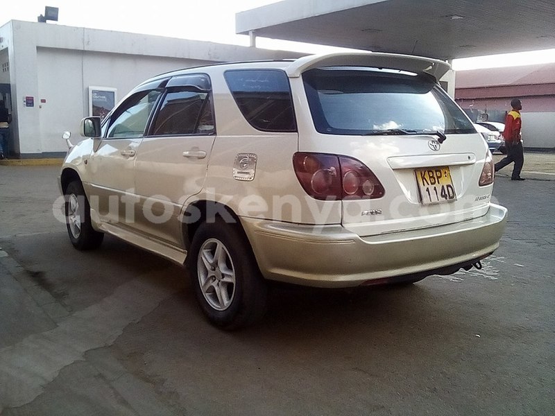 Big with watermark 48397567 1933141983451876 682182630719881216 n