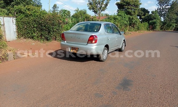 Nunua Ilio tumika Toyota Platz Fedha Gari ndani ya Kiambu nchini Kati Kenya Nunua Ilio tumika Toyota Platz Fedha Gari ndani ya Kiambu nchini Kati Kenya