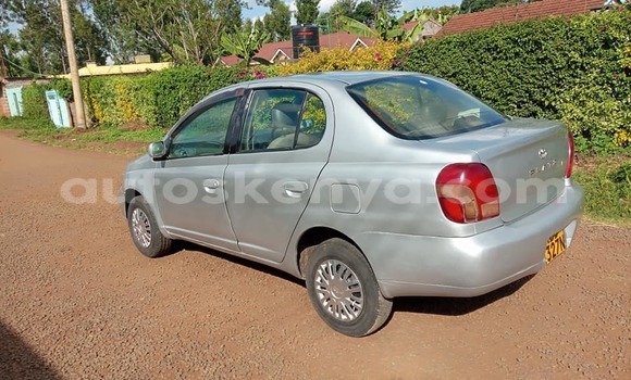 Nunua Ilio tumika Toyota Platz Fedha Gari ndani ya Kiambu nchini Kati Kenya Nunua Ilio tumika Toyota Platz Fedha Gari ndani ya Kiambu nchini Kati Kenya