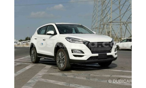 Buy Import Hyundai Tucson White Car in Import - Dubai in Central Kenya Buy Import Hyundai Tucson White Car in Import - Dubai in Central Kenya
