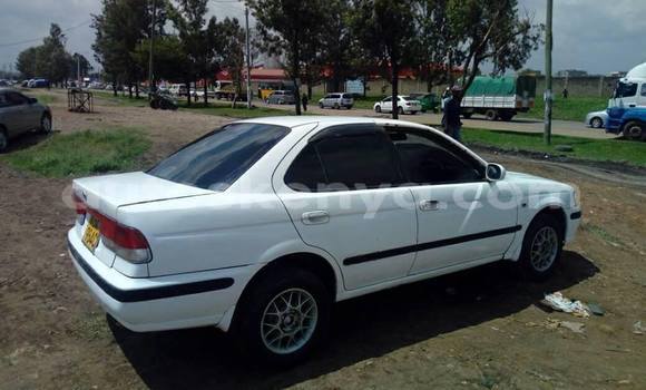 Nunua Ilio tumika Nissan Sunny Nyeupe Gari ndani ya Nairobi nchini Nairobi Nunua Ilio tumika Nissan Sunny Nyeupe Gari ndani ya Nairobi nchini Nairobi