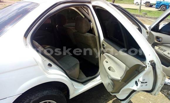 Nunua Ilio tumika Nissan Sunny Nyeupe Gari ndani ya Nairobi nchini Nairobi Nunua Ilio tumika Nissan Sunny Nyeupe Gari ndani ya Nairobi nchini Nairobi
