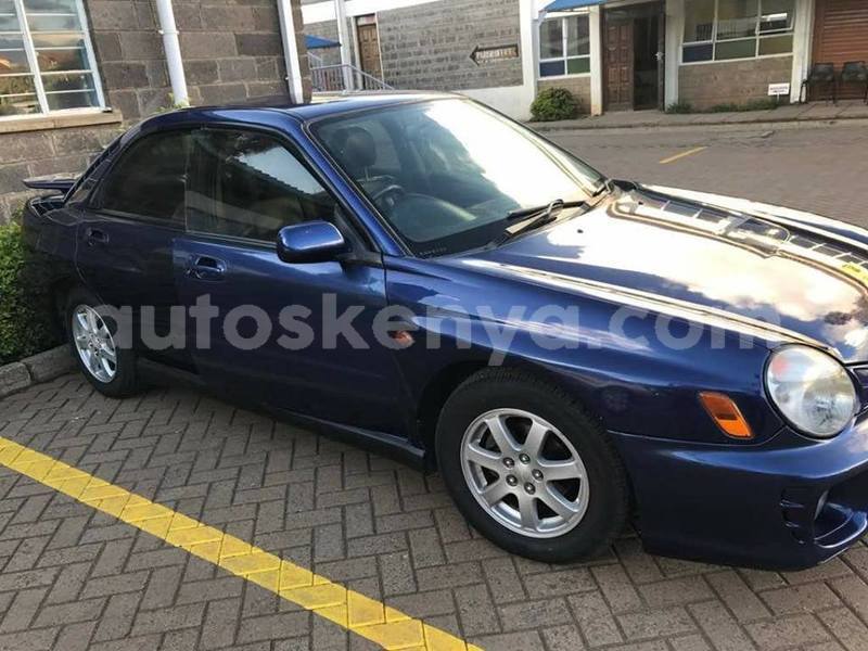 Big with watermark 49375924 2132099120177604 1786374694811729920 n